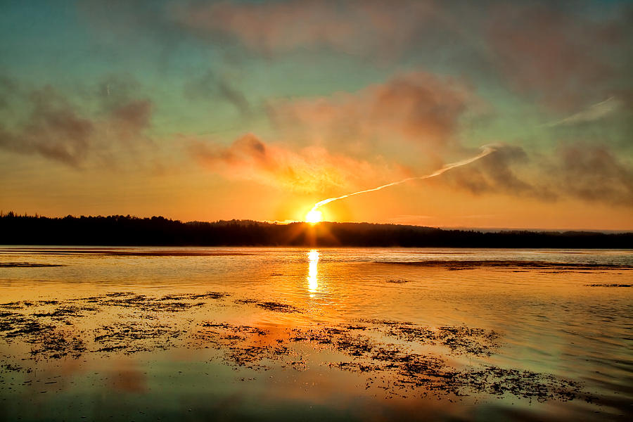 Rise n Shine Photograph by Gary Smith