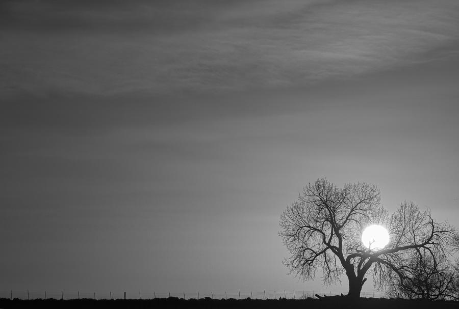 Rising Sun in Black and White Photograph by James BO Insogna