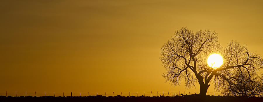 Rising Sun Panorama Photograph by James BO Insogna