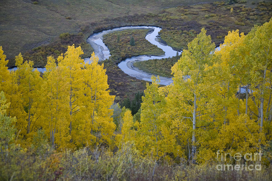 River Bend and Aspen Trees Photograph by Timothy Johnson