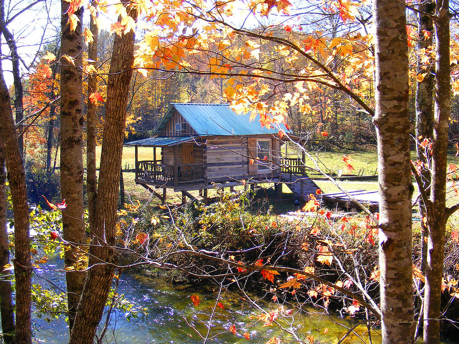 River Cabin in the fall Photograph by Duane McCullough
