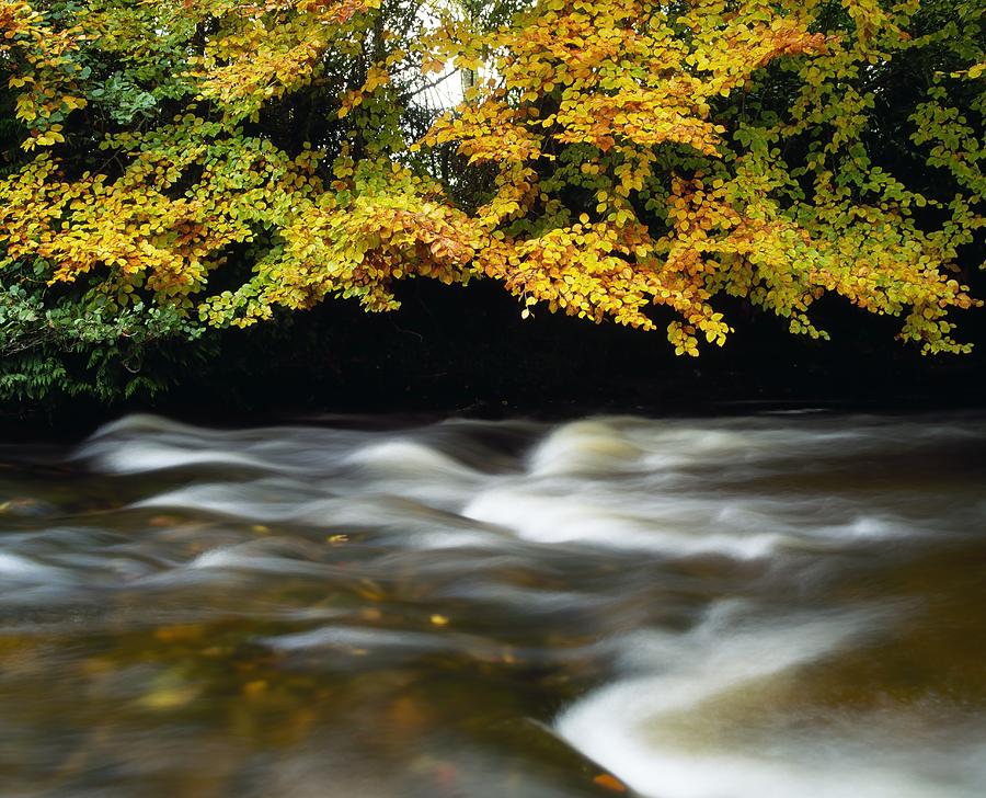 Fall Photograph - River Camcor by The Irish Image Collection 