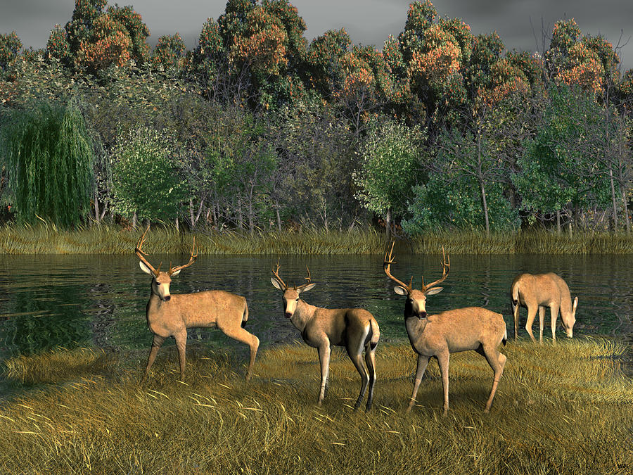 Deer Digital Art - River Deer by Walter Colvin