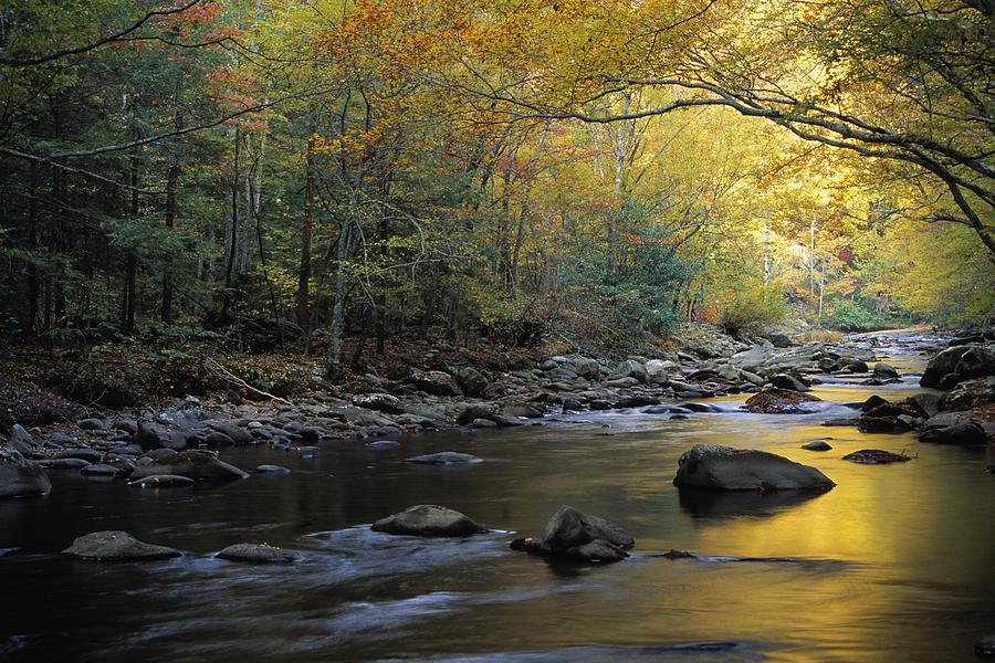 River Flowing Over Rocks Greenbrier Photograph By Natural Selection