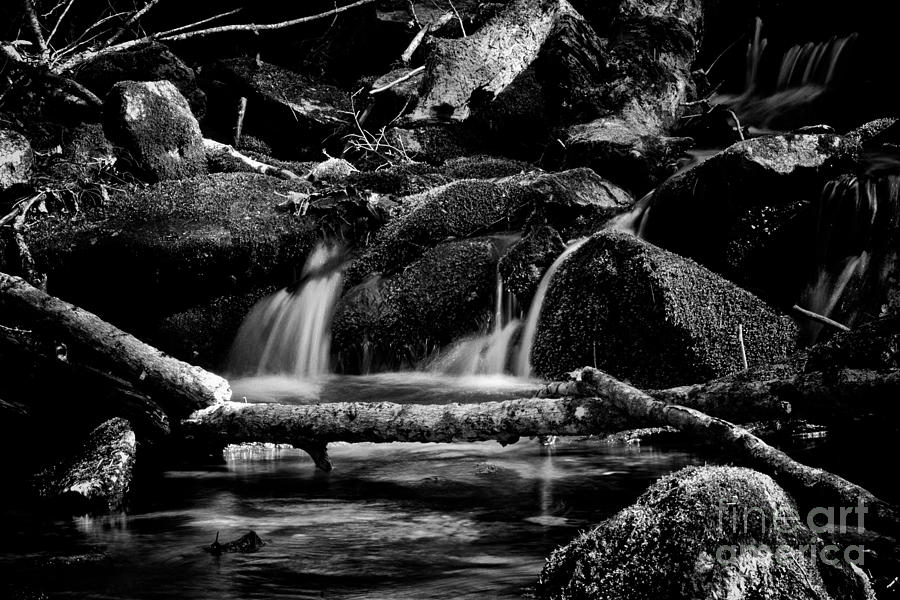 River Flows Photograph by Venura Herath