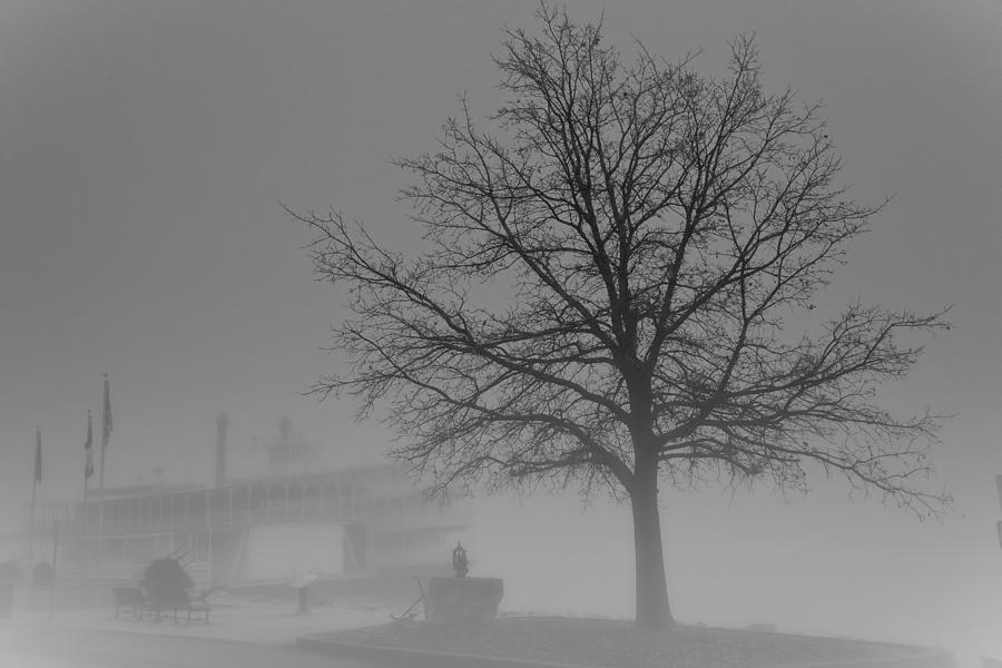 River Fog Photograph by Jack R Perry
