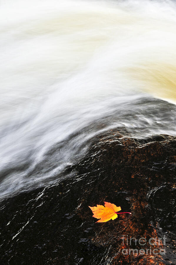 River in the fall Photograph by Elena Elisseeva