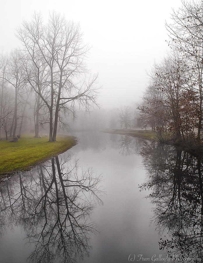 River in the Fog Photograph by Fran Gallogly