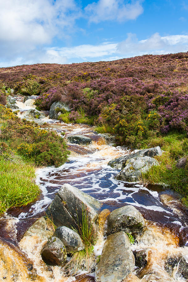 River in Wicklow Mountains Photograph by Semmick Photo
