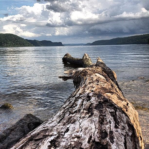 Nature Photograph - #river #log #clouds #water #spring by Jamie Simpson