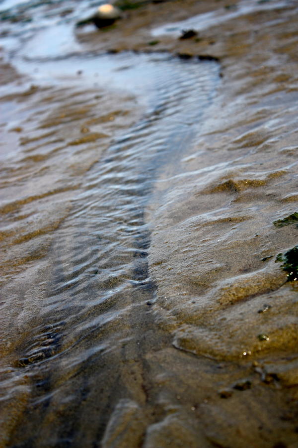 River making way to the Ocean Photograph by Tanya Peters - Pixels