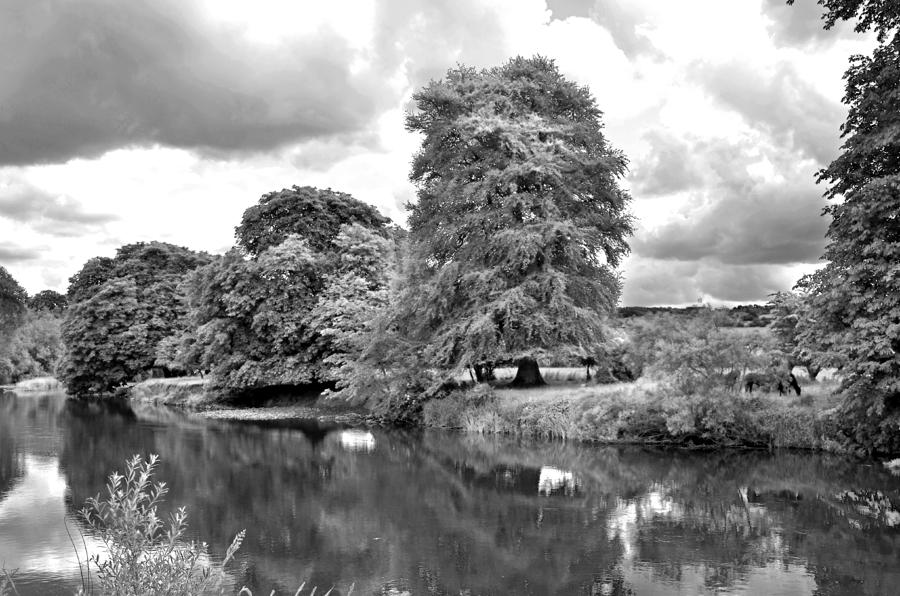 River Nore at Thomastown Photograph by Martina Fagan