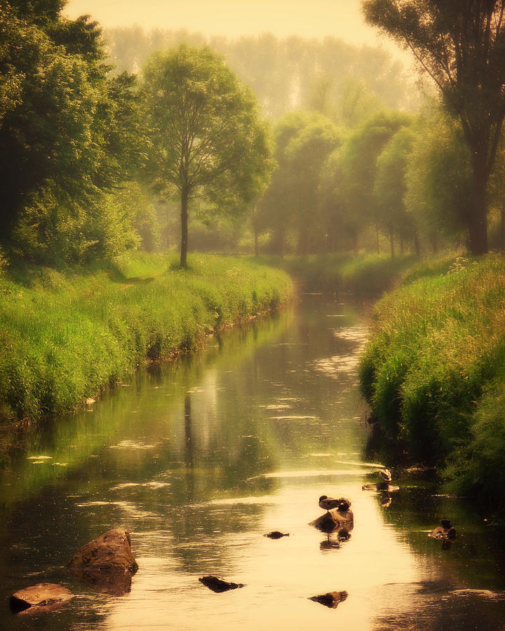 River Of Dreams Photograph