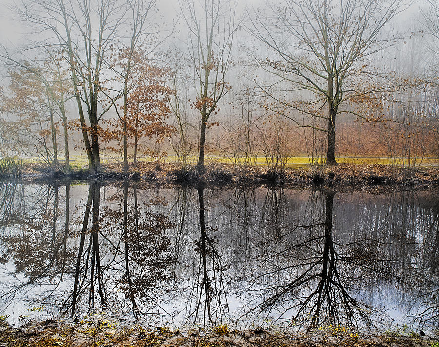 River Reflections Photograph by Fran Gallogly
