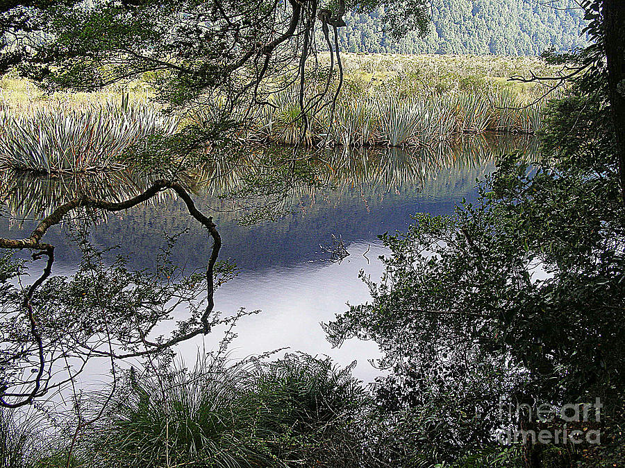 River Reflections Photograph by Louise Peardon