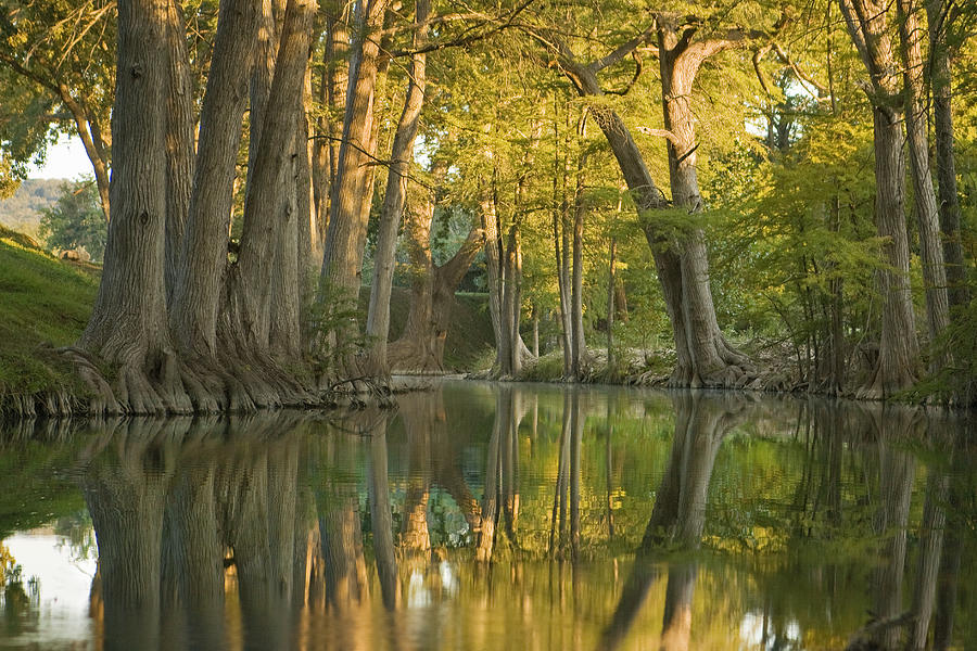 River Reflections Photograph by Paul Huchton