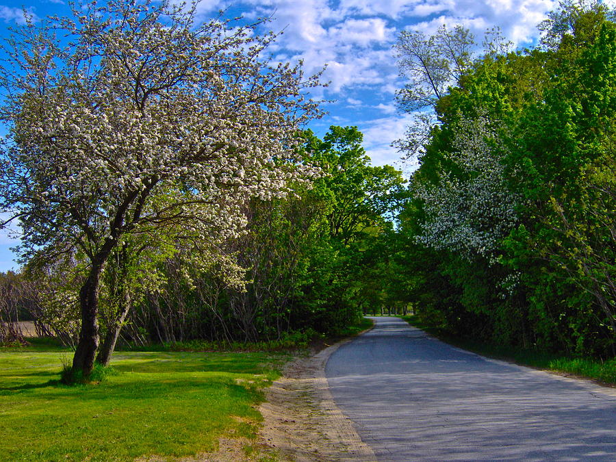 River Road Spring 4 Photograph by George Ramos