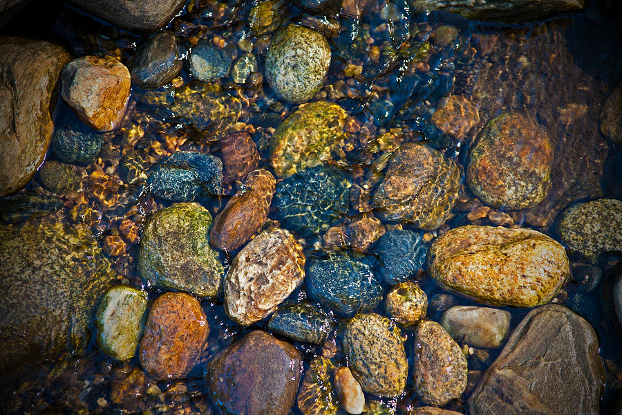 River Rock Photograph by Karol Livote