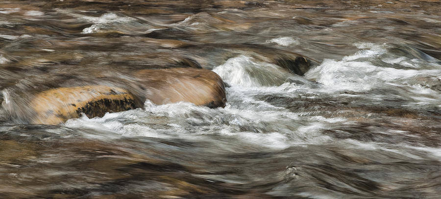 River Rock Photograph by Lou  Novick