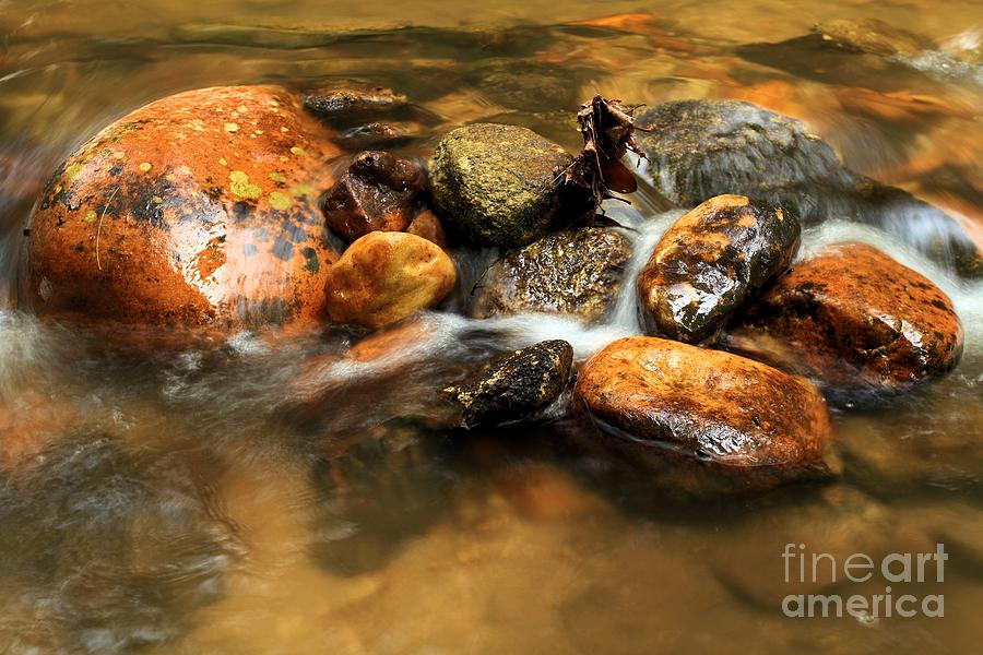 River Rocks Photograph by Adam Jewell