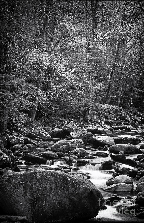 River Rocks Photograph by David Waldrop