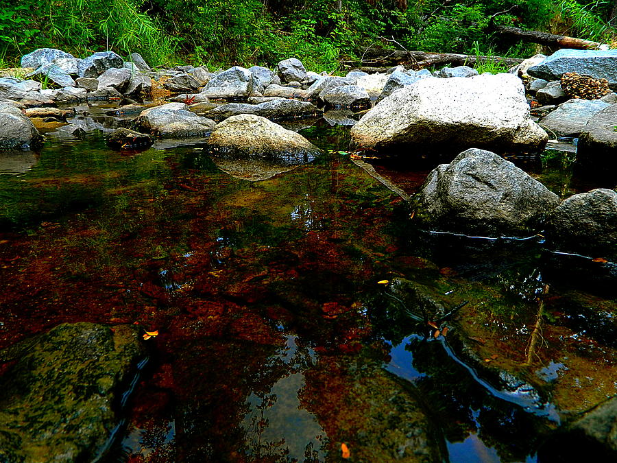 River Water and Rocks Photograph by Ester McGuire