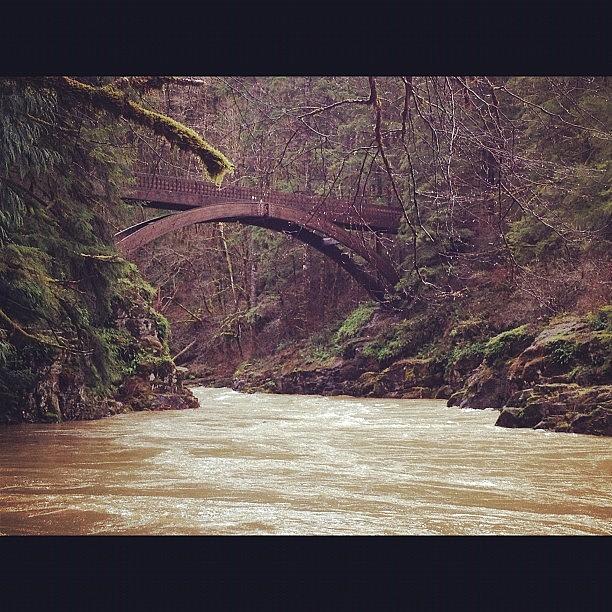 Nature Photograph - #river #water #waterscape #nature by Danielle McNeil