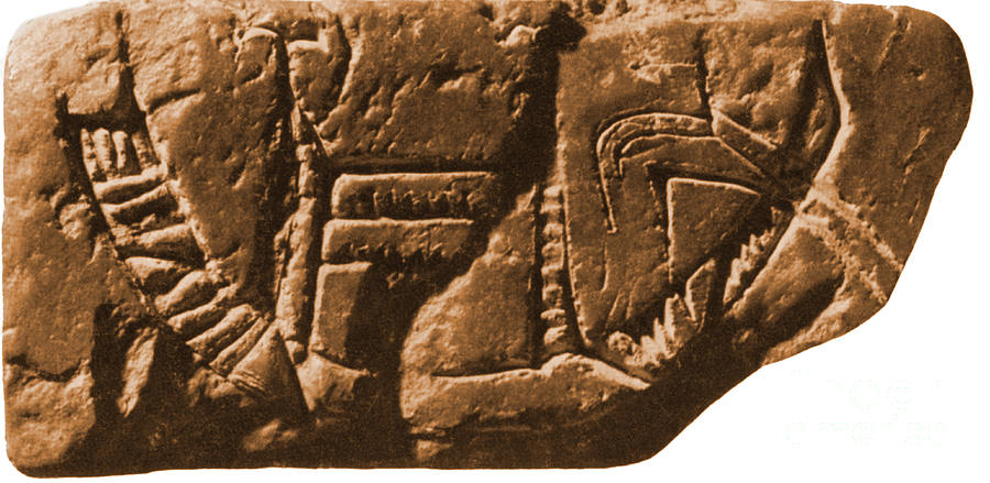 Riverboat On Ancient Seal Photograph by Science Source