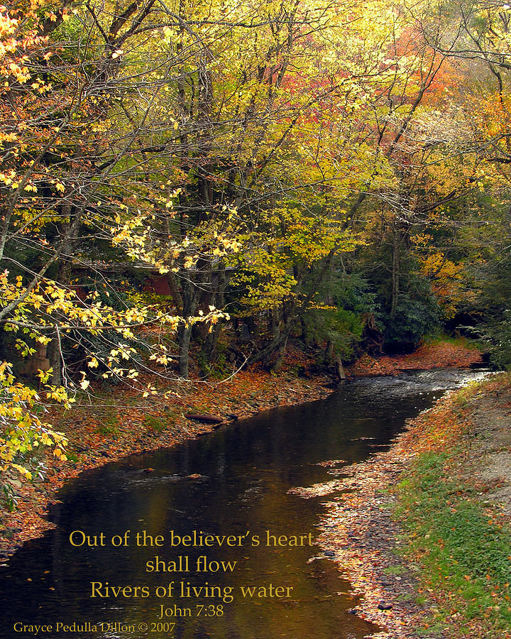 Rivers Of Living Water Photograph By Grace Dillon Fine Art America   Rivers Of Living Water Grace Dillon 