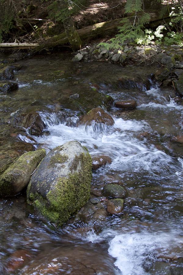 Landscape Photograph - Rivers-Streams-Creeks - 0038 by S and S Photo
