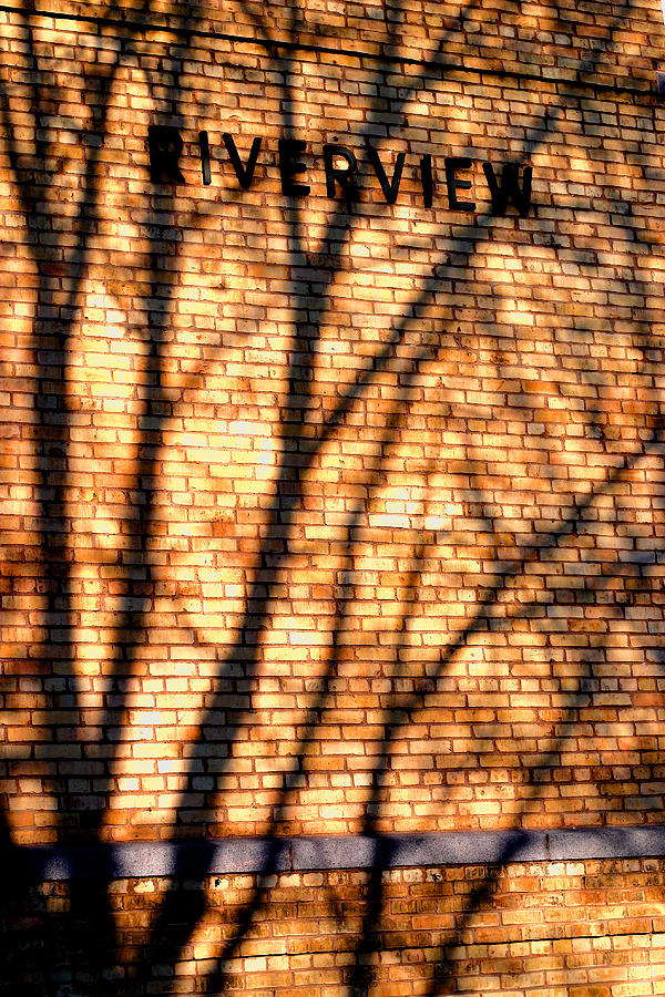 Riverview  Shadows -  No.  1 Photograph by William Meemken