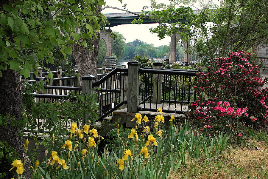 Riverwalk in Spring Photograph by Sandra Anderson