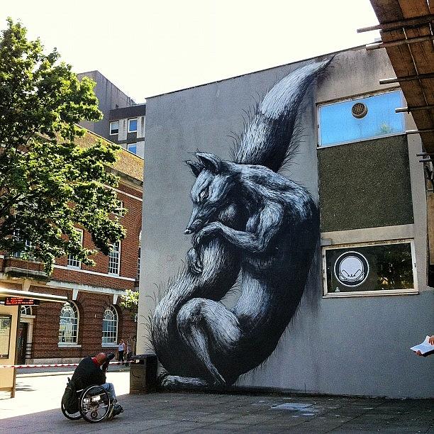 Grafite Photograph - Roa #roa Finished Piece.#bristol by Nigel Brown
