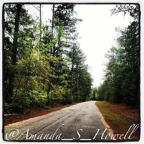 Nature Photograph - Road Less Traveled. #outside #nature by Amanda Howell