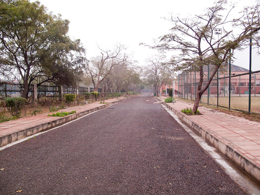 Road lined by trees and buildings Photograph by Ashish Agarwal