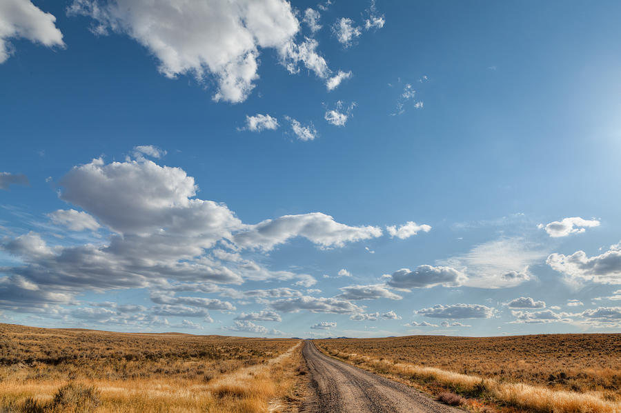 Desert Photograph - Road Near Ten Sleep Wyoming by Steve Gadomski