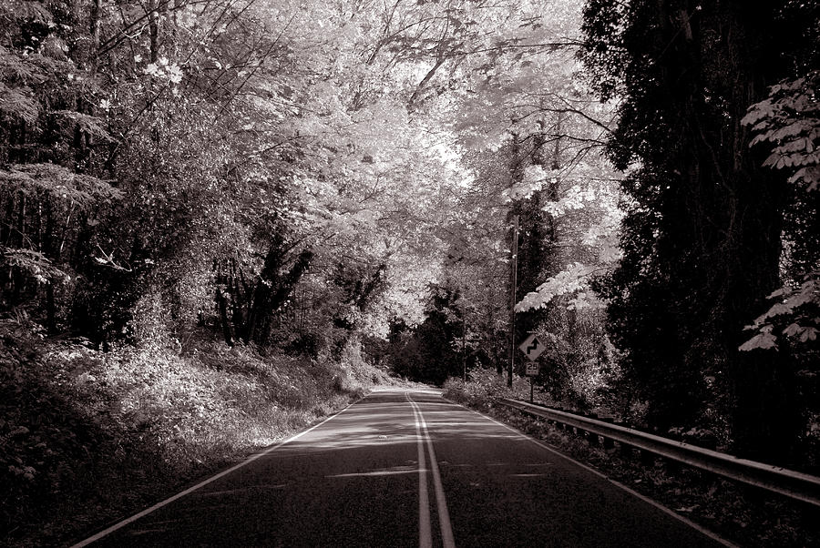 Road through Autumn - black and white Photograph by Kathleen Grace