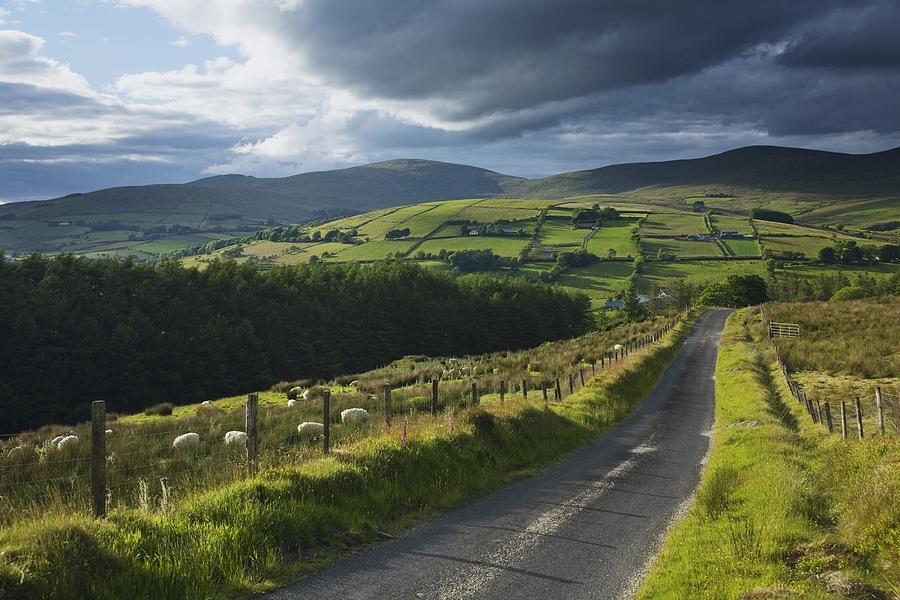 Tree Photograph - Road Through Glenelly Valley, County by Gareth McCormack