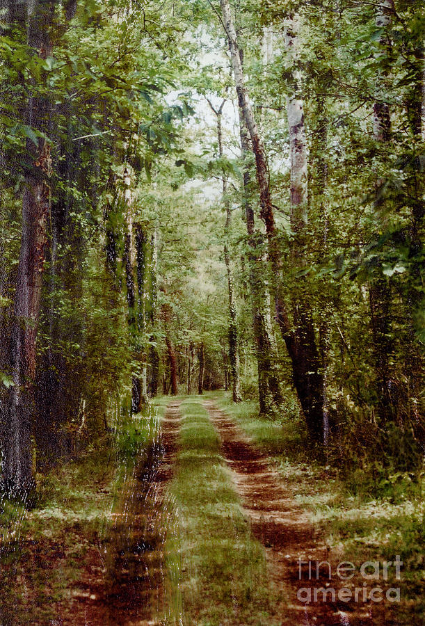 Road to Anywhere Photograph by Bob Senesac