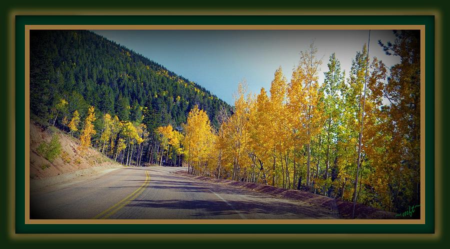 Road to Fall Photograph by Michelle Frizzell-Thompson