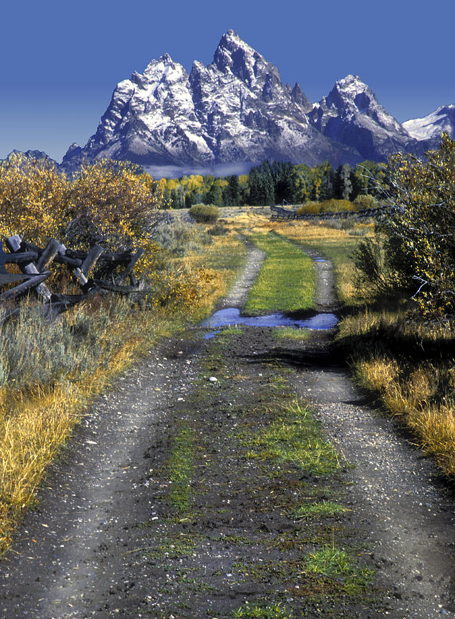 Road to the Tetons Photograph by Dave Mills