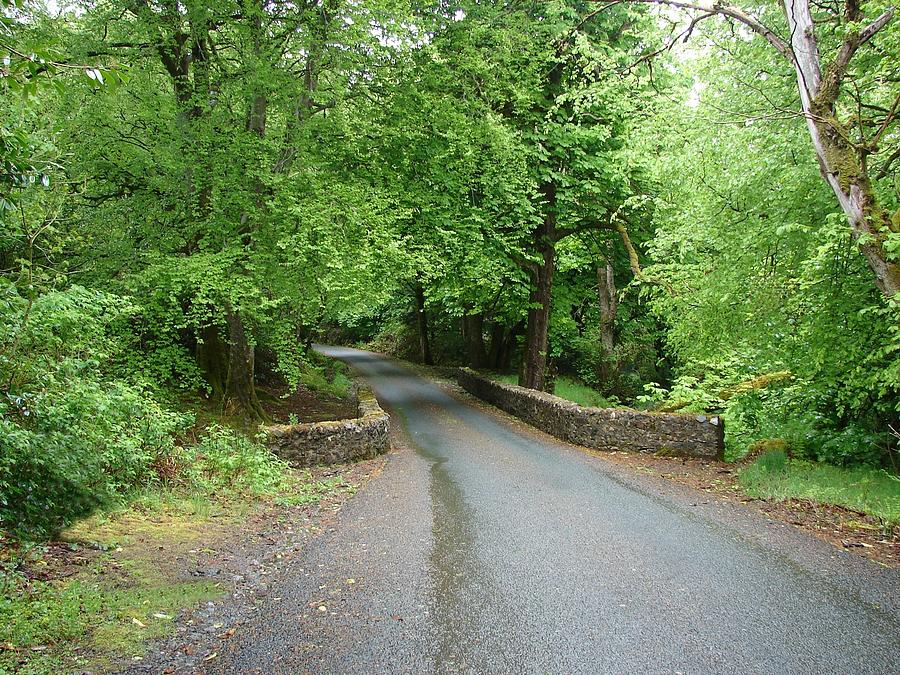 Road to Tranquility Photograph by Ralph Brannan - Fine Art America