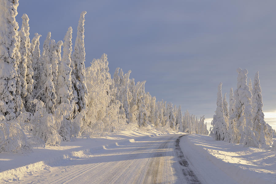 Road, Valtavaara, Kuusamo, Northern Ostrobothnia, Oulu Province ...