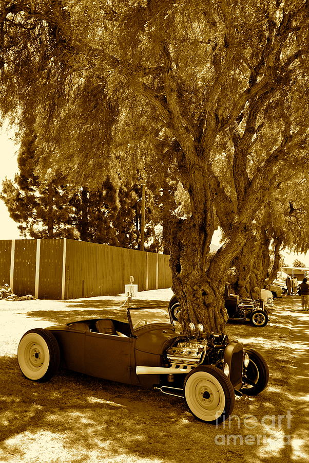 Roadster And Trees Photograph