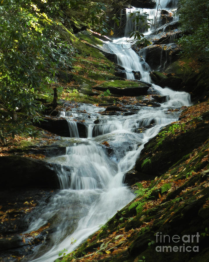 Roaring Fork Falls Photograph by Deborah Smith