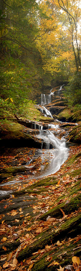 Roaring Fork Falls Photograph by Joye Ardyn Durham