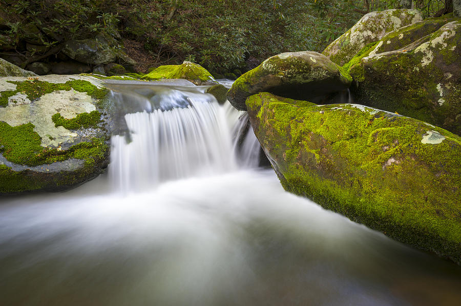 Nature Photograph - Roaring Fork Great Smoky Mountains National Park - The Simple Pleasures by Dave Allen