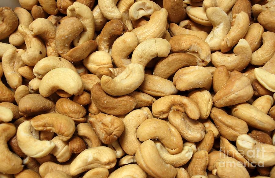 Roasted Cashew Nuts Photograph by Yali Shi