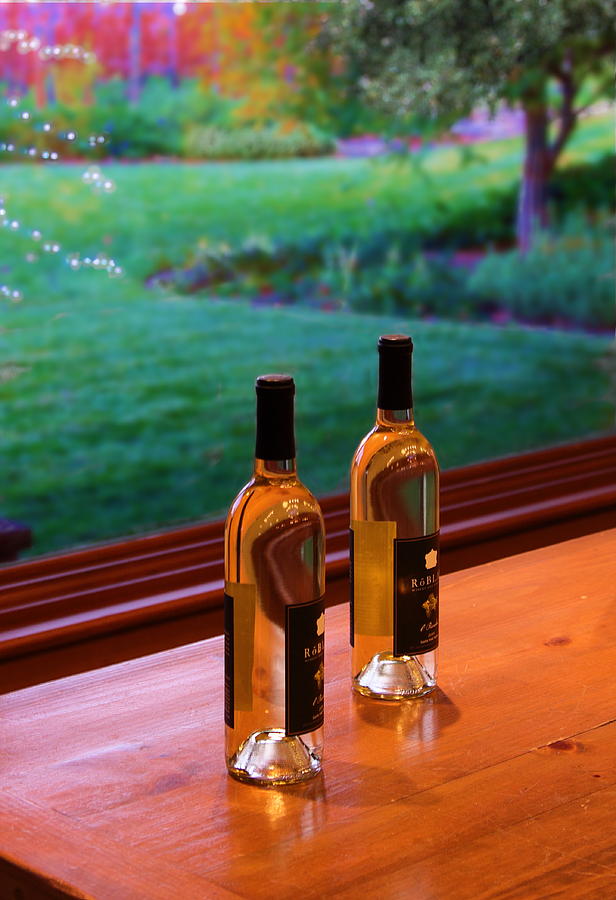 Roblar Winery Photograph by Viktor Savchenko
