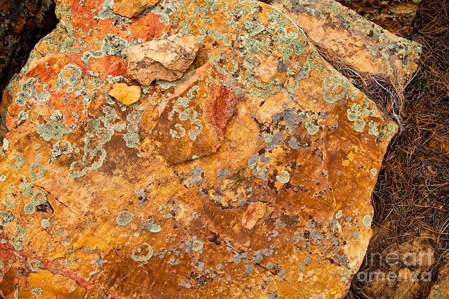 Rock Abstract II Photograph by Barbara Schultheis